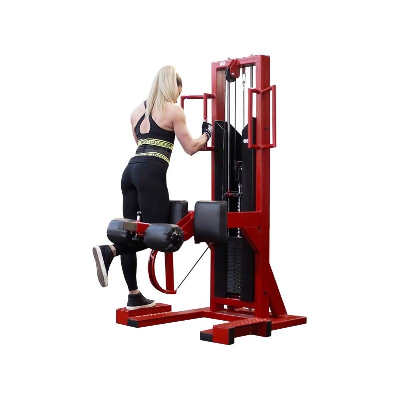 Cross Trainer