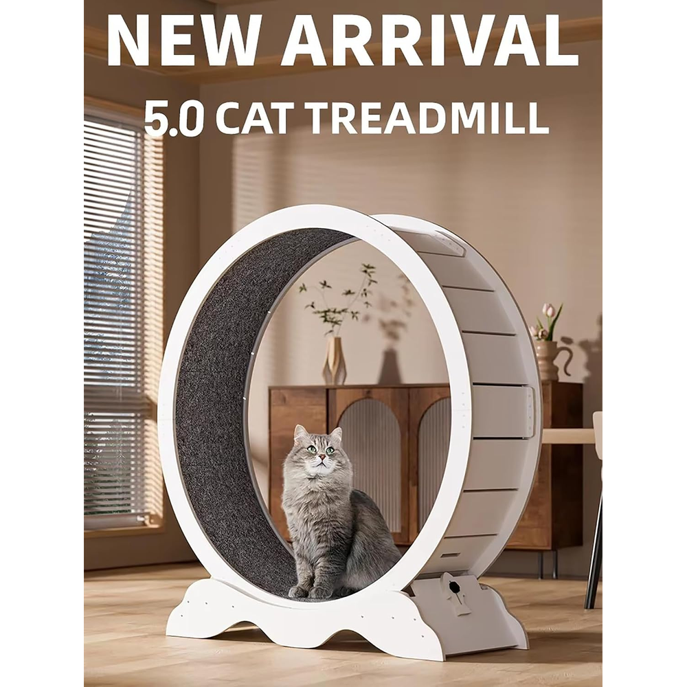 Cat Exercise Wheel 5th Gen for Indoor Cats